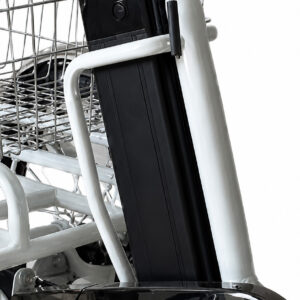 New Age Tilting Trike Replacement Batteries