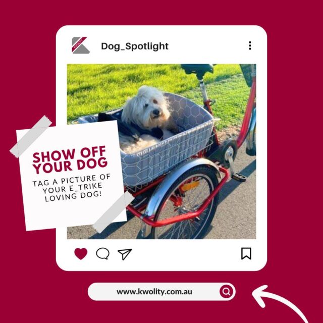 We know e-trikes aren’t just for us, they’re for our furry friends too!

We love seeing dogs enjoying the ride just as much as their humans. Show off your furry friend enjoying their e-trike adventures by commenting below with a picture or telling us their favourite ride destination. Let’s see those paws in the wind! 

#kwolity #doglovers #etrikes